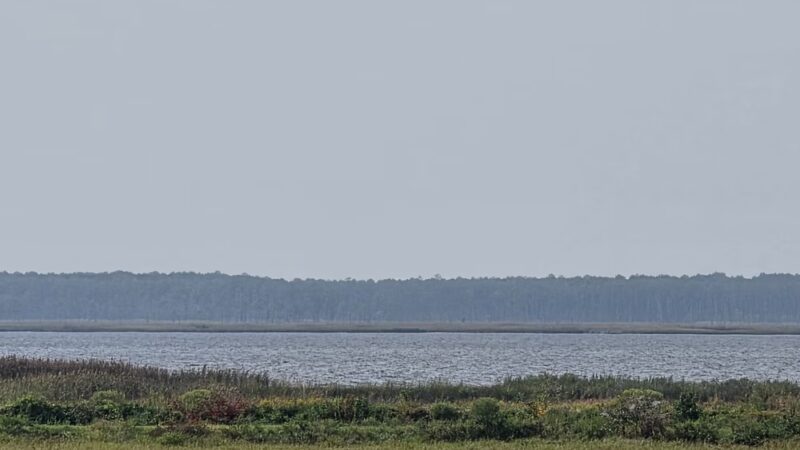 Blackwater National Wildlife Refuge Visitor Center - Church Creek, MD