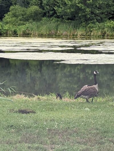 Churchville Park Boat Launch - Churchville, NY