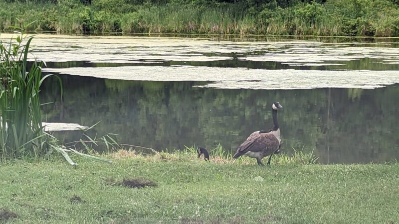 Churchville Park Boat Launch - Churchville, NY