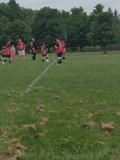 Cottonwood Lodge - Churchville, NY