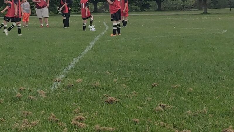 Cottonwood Lodge - Churchville, NY