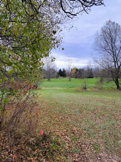 Widener Park - Churchville, NY