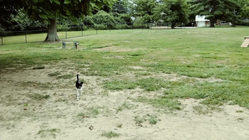 Clepper Dog Park - Cincinnati, OH