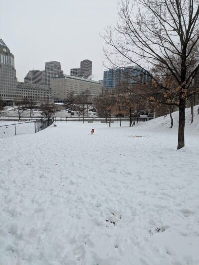Fido Field - Cincinnati, OH