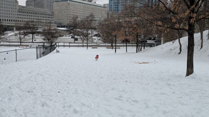 Fido Field - Cincinnati, OH