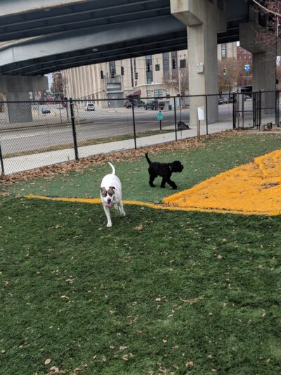 Fido Field - Cincinnati, OH