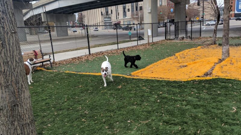 Fido Field - Cincinnati, OH