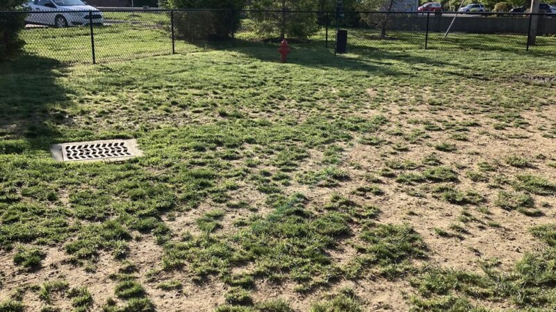 Oakley Station Dog Park - Cincinnati, OH