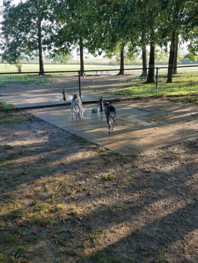 Otto Armleder Dog Park - Cincinnati, OH