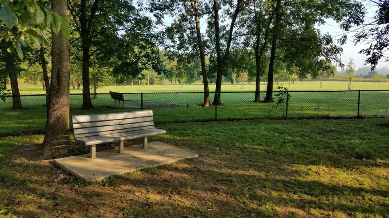 Otto Armleder Dog Park - Cincinnati, OH