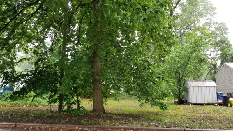 East Riverton Park - Cinnaminson, NJ