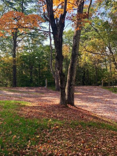 Back Ridge Shadows, LLC - Circleville, WV