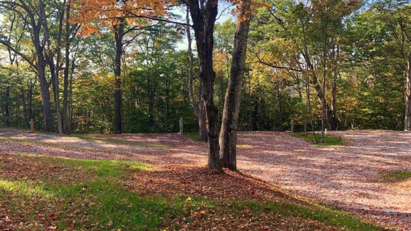Back Ridge Shadows, LLC - Circleville, WV