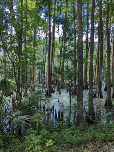 Dunnellon Trailhead - Citrus Springs, FL