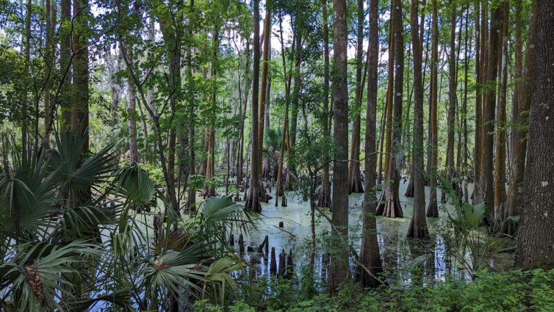 Dunnellon Trailhead - Citrus Springs, FL