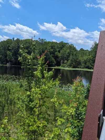 Dunnellon Trailhead - Citrus Springs, FL
