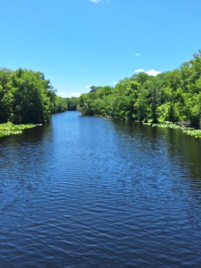 Dunnellon Trailhead CR 39 - Citrus Springs, FL