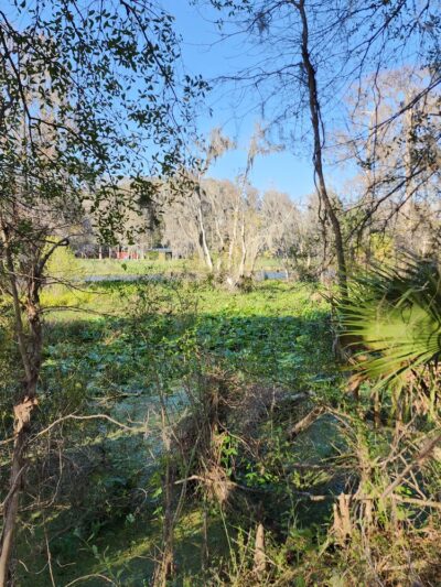 Dunnellon Trailhead CR 39 - Citrus Springs, FL