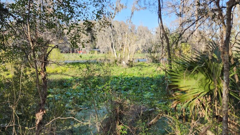 Dunnellon Trailhead CR 39 - Citrus Springs, FL