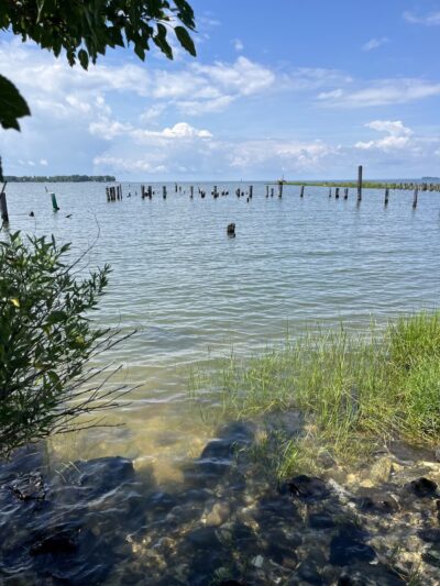 Claiborne Jetty - Claiborne, MD