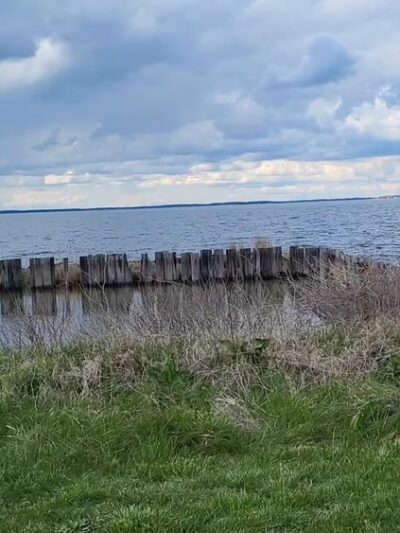 Claiborne Jetty - Claiborne, MD