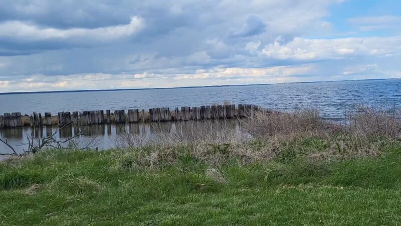 Claiborne Jetty - Claiborne, MD
