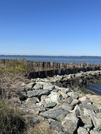 Claiborne Jetty - Claiborne, MD