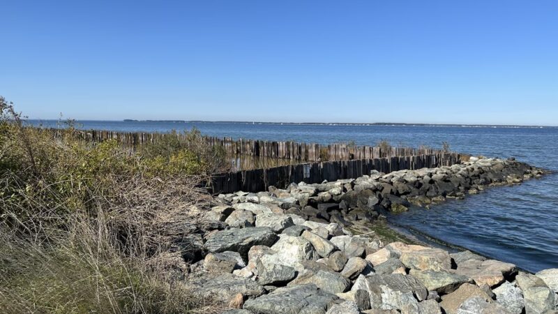 Claiborne Jetty - Claiborne, MD