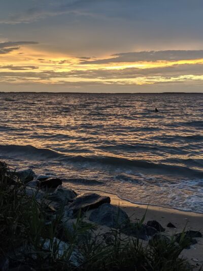 Claiborne Jetty - Claiborne, MD