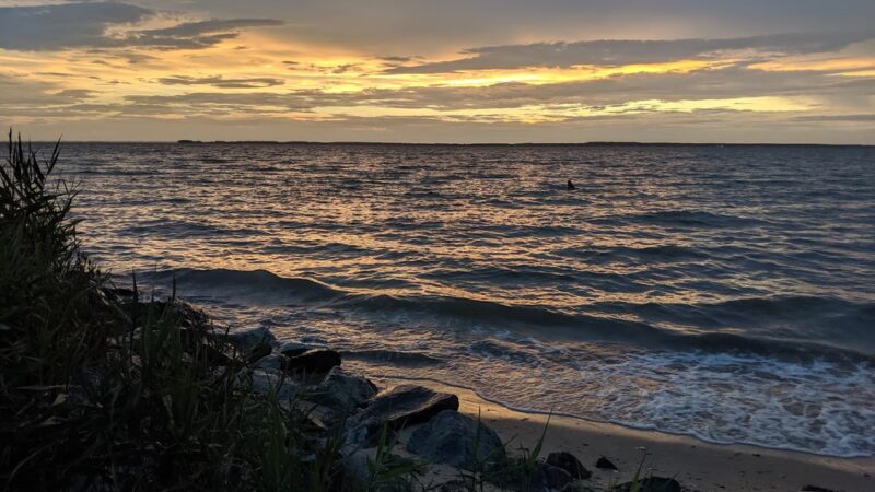 Claiborne Jetty - Claiborne, MD