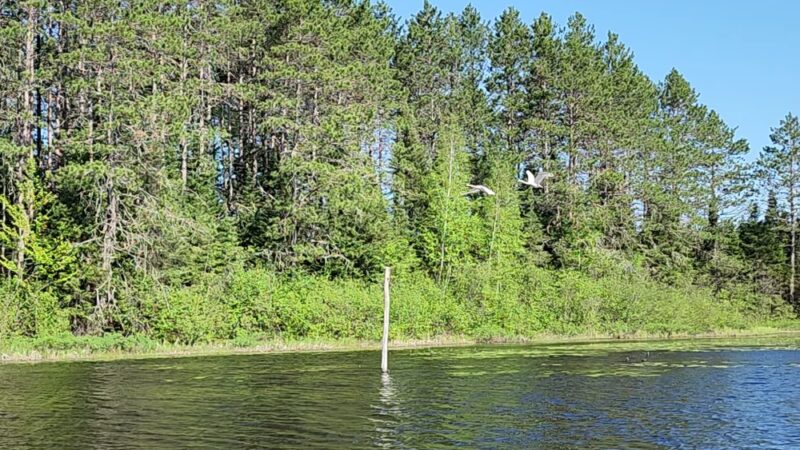 Day Lake Campground - Clam Lake, WI