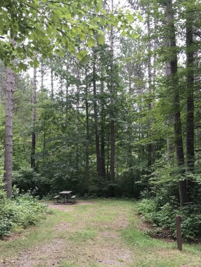 Day Lake Campground - Clam Lake, WI