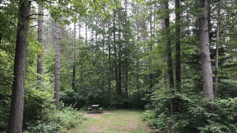Day Lake Campground - Clam Lake, WI
