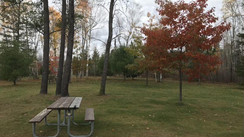 Day Lake Picnic Area - Clam Lake, WI