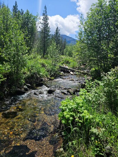 Willard Creek Trailhead, Clancy, MT - Clancy, MT