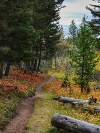 Willard Creek Trailhead, Clancy, MT - Clancy, MT
