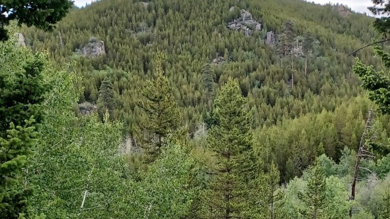 Willard Creek Trailhead, Clancy, MT - Clancy, MT