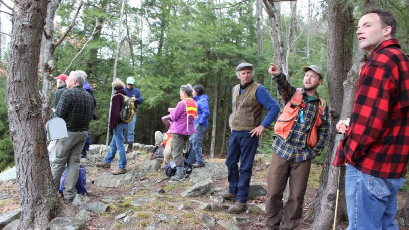 Cornish Town Forest - Claremont, NH