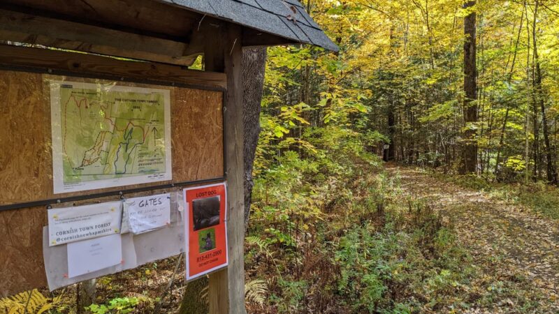 Cornish Town Forest - Claremont, NH