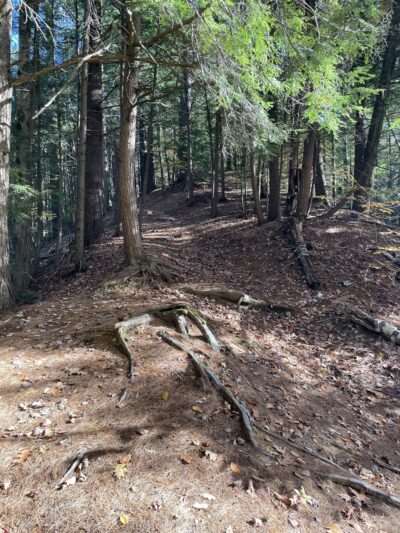 Moody Trails - Claremont, NH