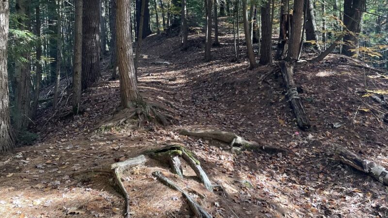 Moody Trails - Claremont, NH