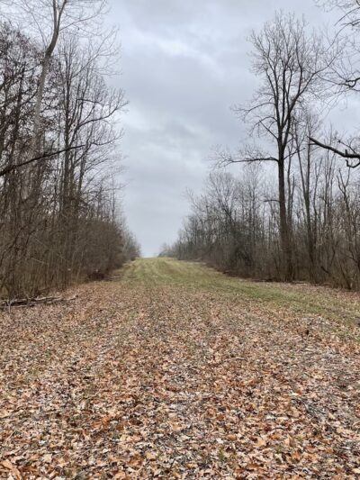 Beeman Creek Park - Clarence Center, NY