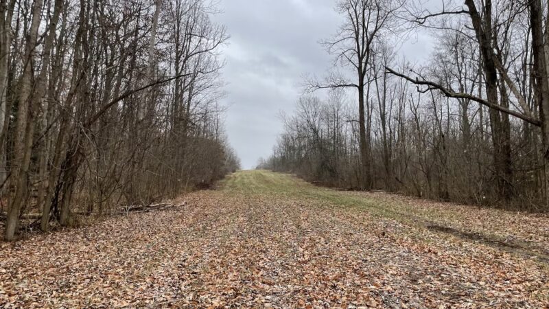Beeman Creek Park - Clarence Center, NY