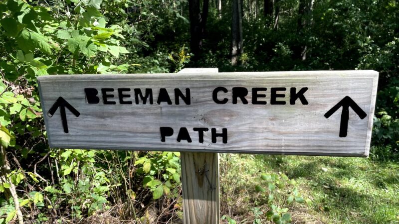 Beeman Creek Park - Clarence Center, NY