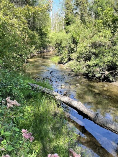 Beeman Creek Park - Clarence Center, NY