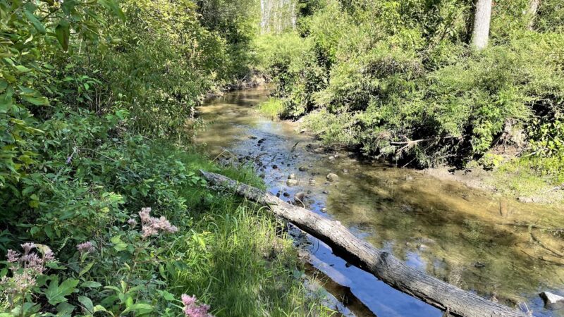 Beeman Creek Park - Clarence Center, NY