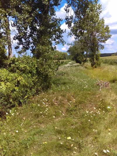 Clarence Bike Path - Clarence Center, NY