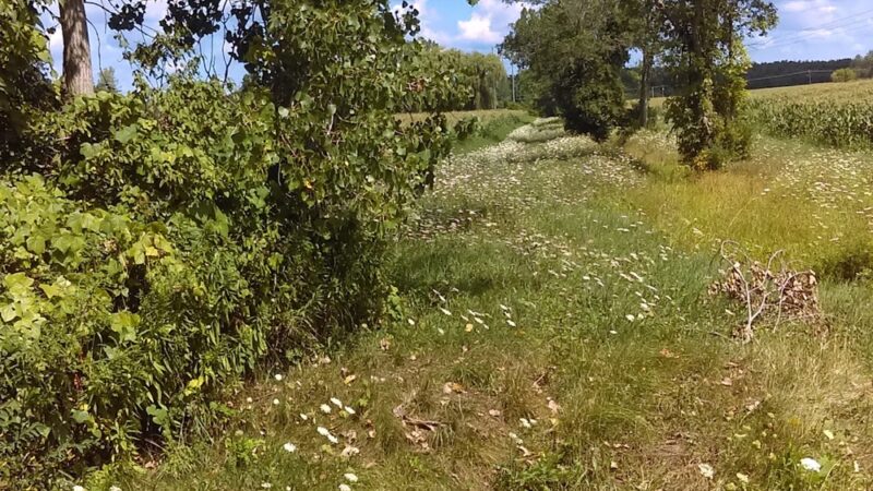 Clarence Bike Path - Clarence Center, NY