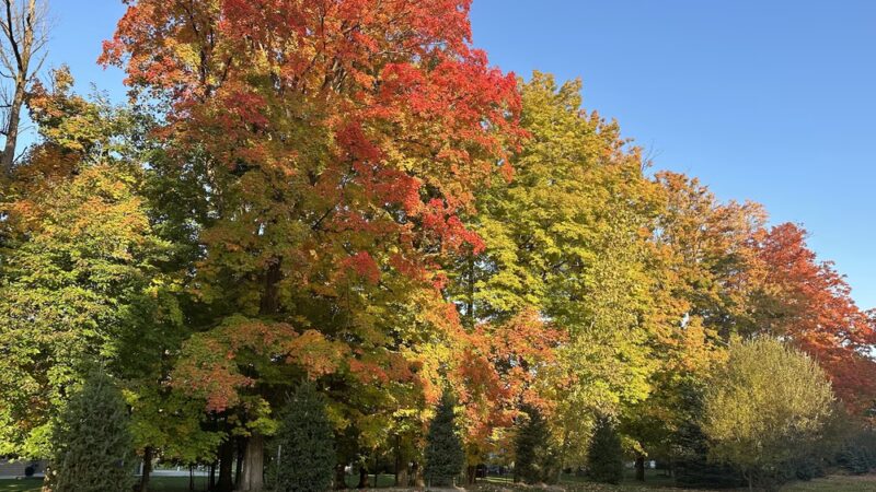 Clarence Bike Path - Clarence Center, NY