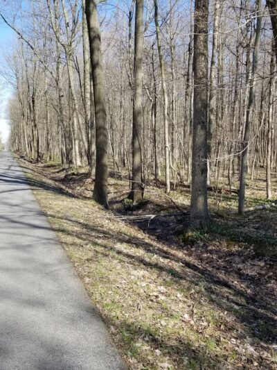 Clarence Bike Path - Clarence Center, NY